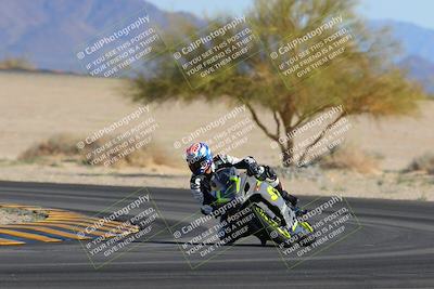 media/Feb-04-2023-SoCal Trackdays (Sat) [[8a776bf2c3]]/Turn 4 (Tree of Life 2pm)/